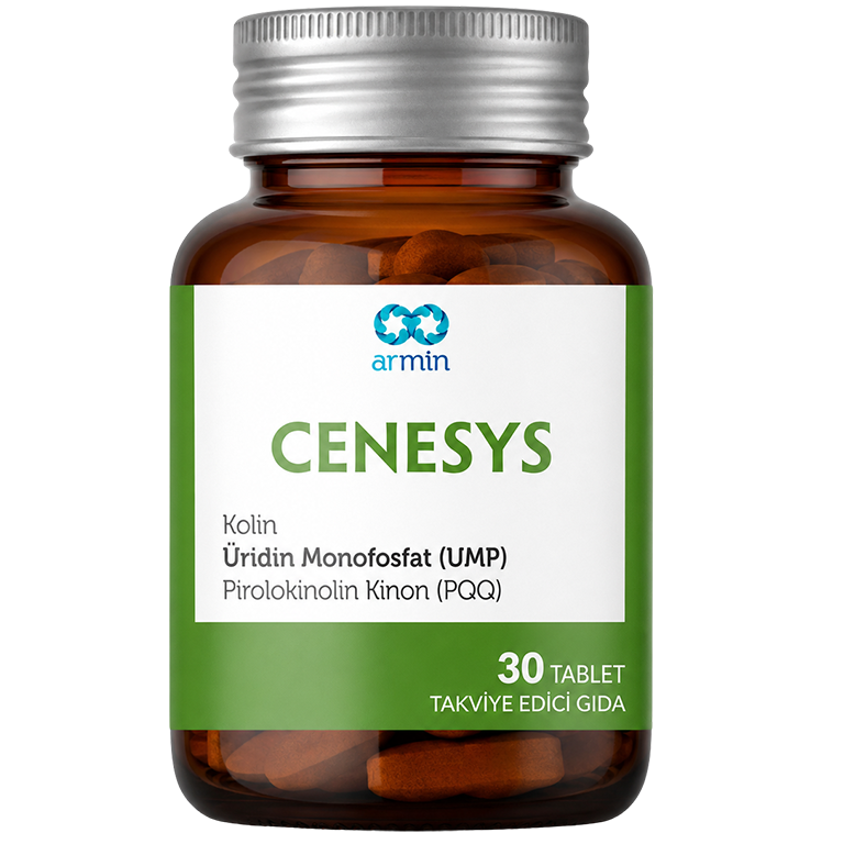 Cenesys