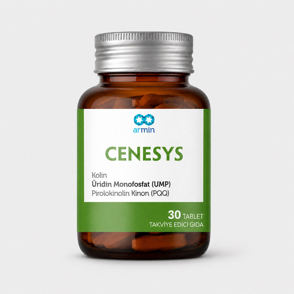 Cenesys — görsel 3